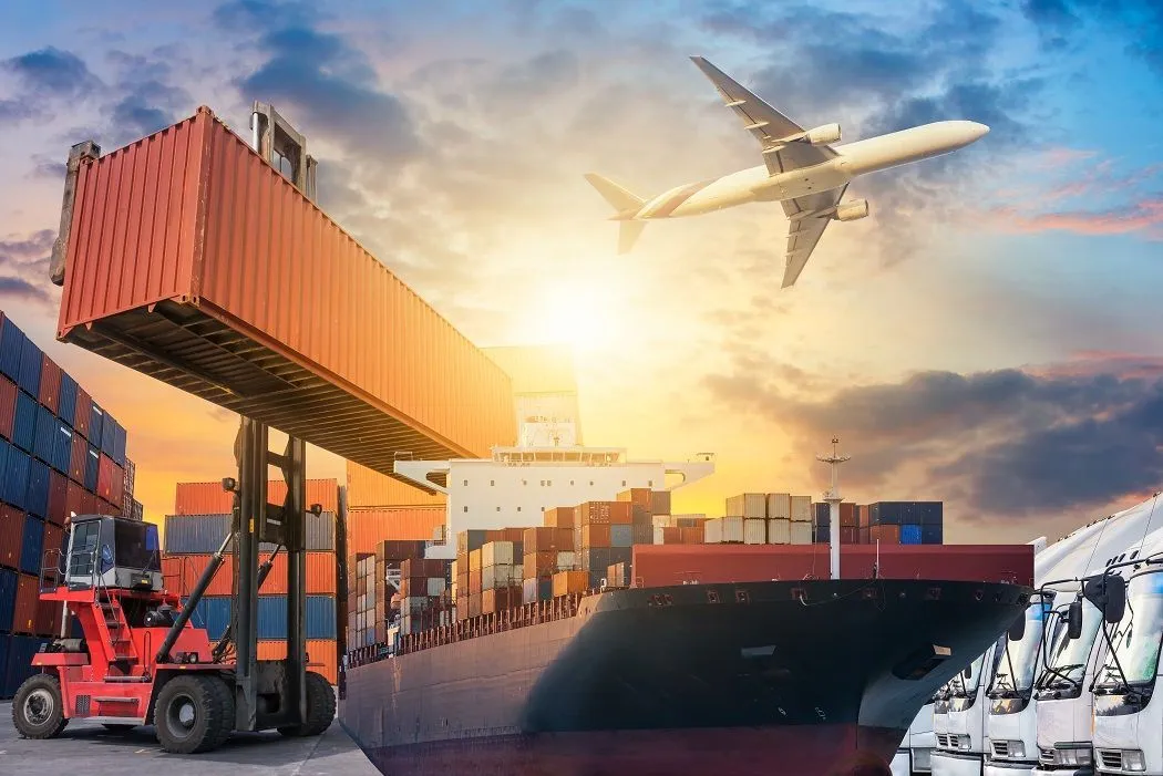 Import & Export